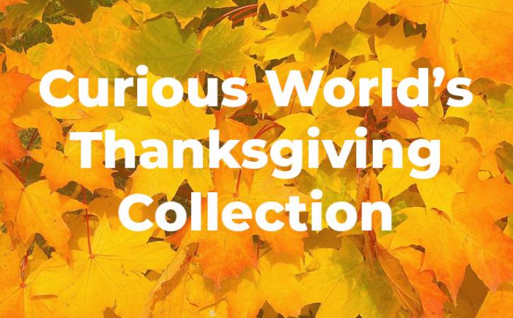 Curious World's Thanksgiving Collection